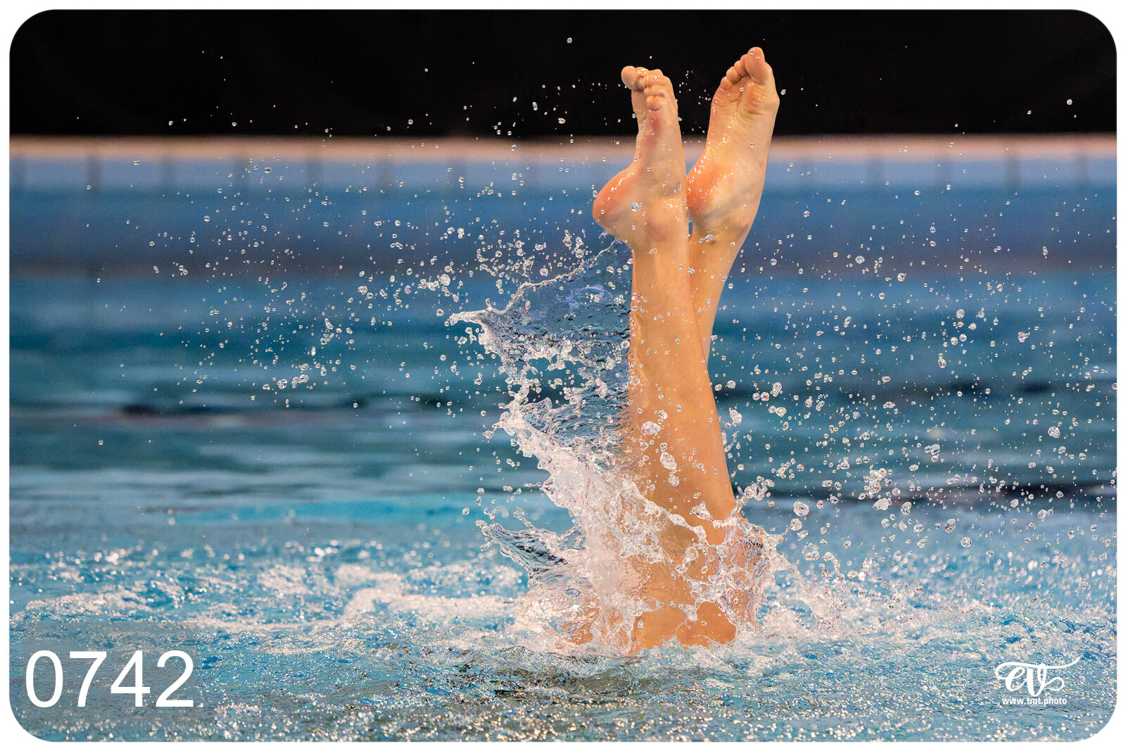 CHAMPIONNAT DE FRANCE DE NATATiON ARTISTIQUE N1 & ELITE 2026